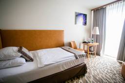 Einzelzimmer im Hotel LD Morava
