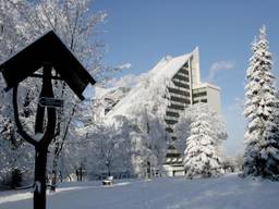 Ahorn Panorama Hotel Oberhof — Bild 3