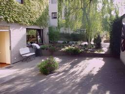 Elfi — Bild 2