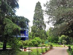 Fini Resort Badenweiler — Bild 2