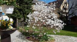 Kur-Hotel garni Marienhof — Bild 2