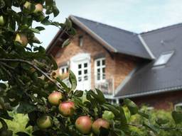 Landhotel Burg im Spreewald — Bild 1