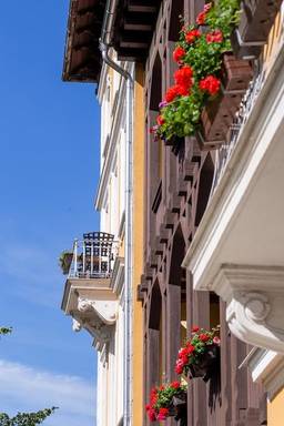 Lindenhof — Bild 2