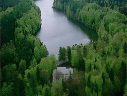Waldhalle — Bild 3