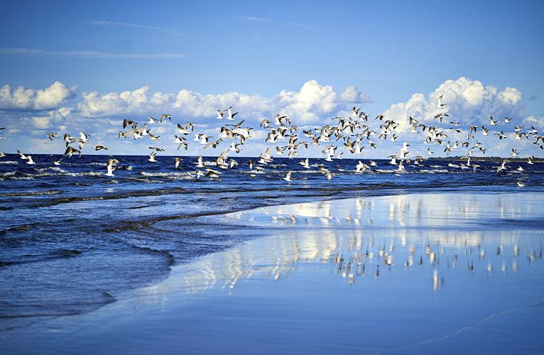 Jurmala